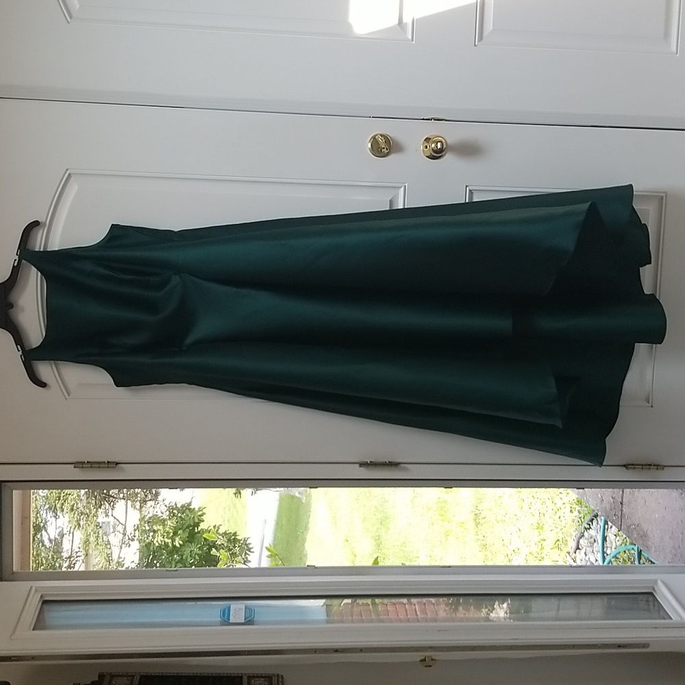 Adrianna papell gown